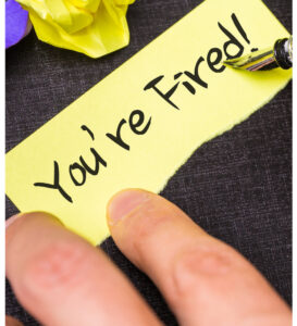 you are fired
