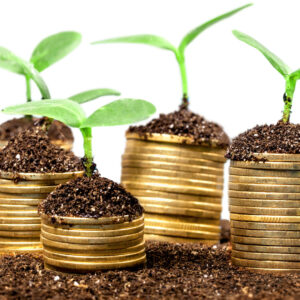 The Second 10% - Investments